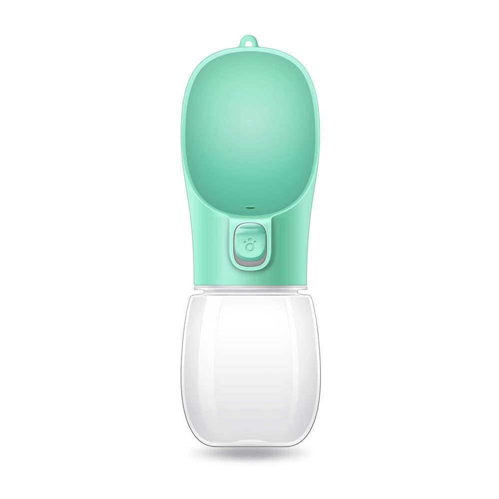 Leak-Proof Travel Water Bottle